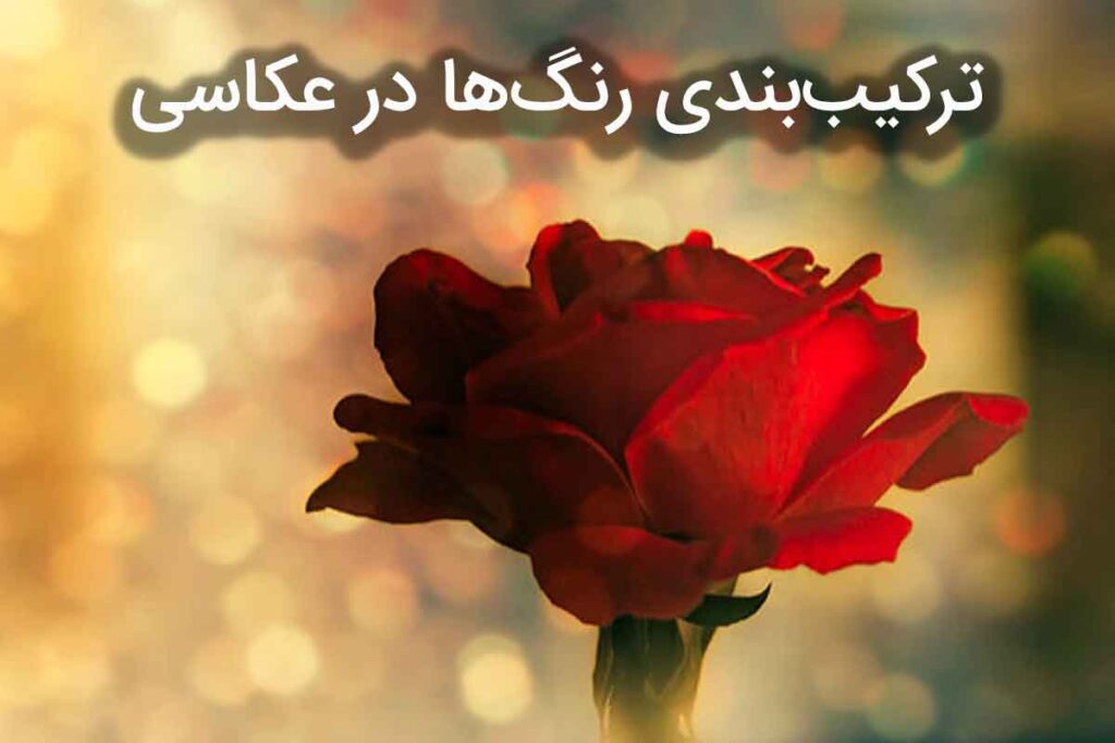 روانشناسی رنگ در عکاسی: چگونه رنگ‌ها احساسات تصاویر را شکل می‌دهند؟