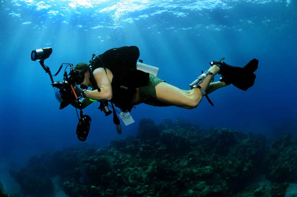 عکاسی زیر آب (Underwater Photography)