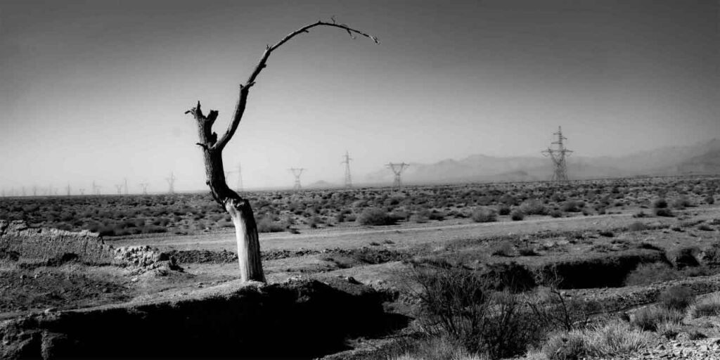 عکاسی سیاه و سفید (Black & White Photography)